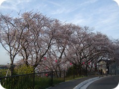 DSCF2726