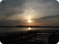 DSCF2763
